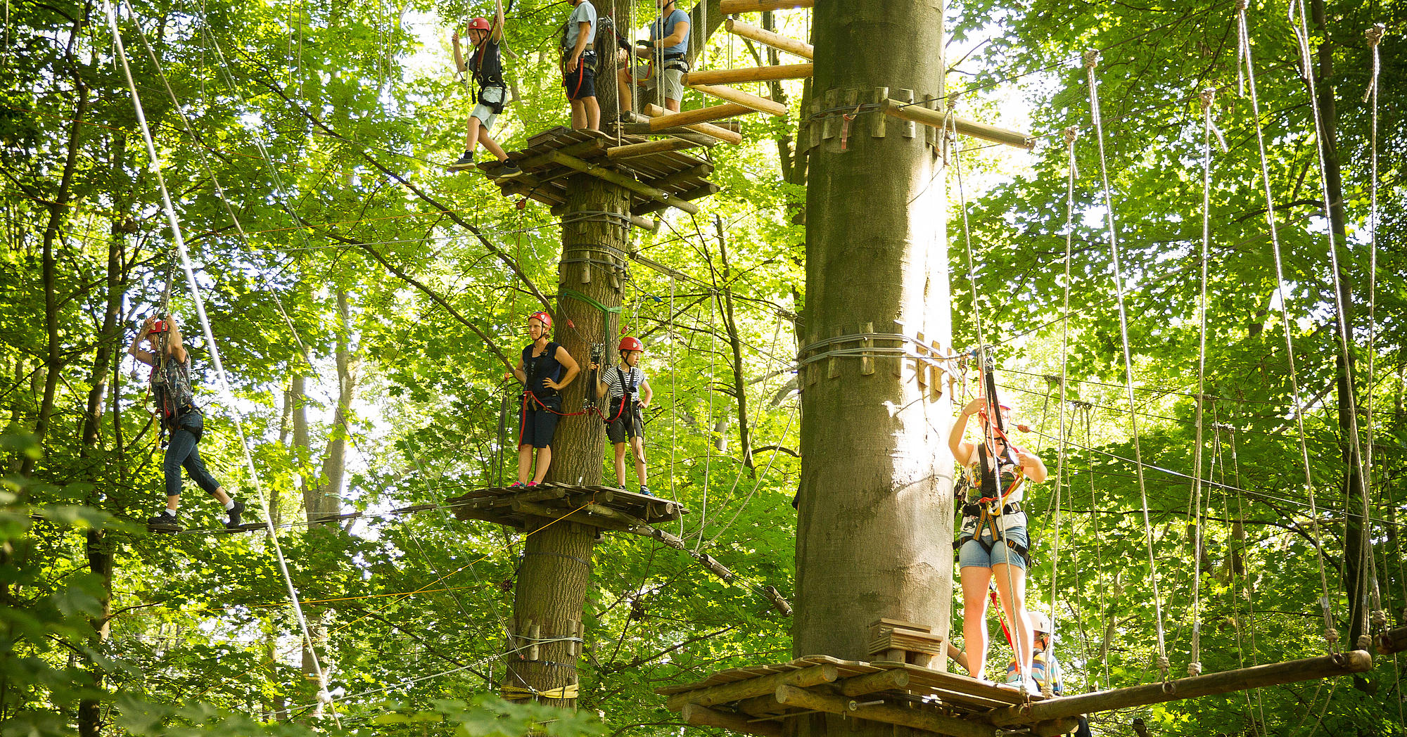 ᐅ Kletterpark Bielefeld auf dem Johannisberg
