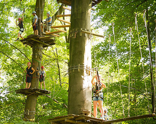 Ansicht verschiedener Elemente des Kletterparks Bielefeld